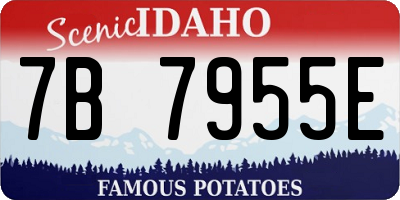 ID license plate 7B7955E