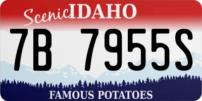 ID license plate 7B7955S