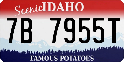 ID license plate 7B7955T