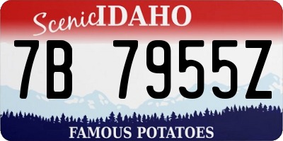 ID license plate 7B7955Z