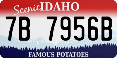 ID license plate 7B7956B