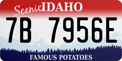 ID license plate 7B7956E