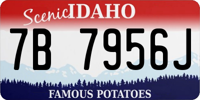 ID license plate 7B7956J