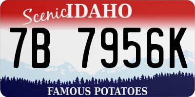 ID license plate 7B7956K