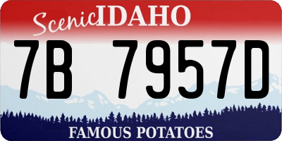 ID license plate 7B7957D