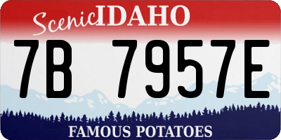 ID license plate 7B7957E