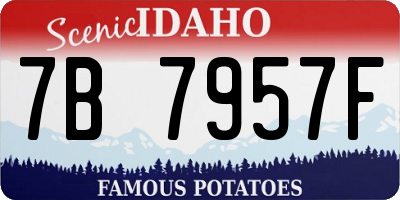 ID license plate 7B7957F