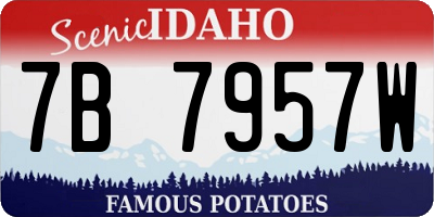 ID license plate 7B7957W
