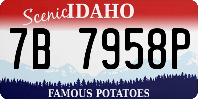ID license plate 7B7958P