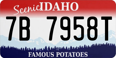 ID license plate 7B7958T