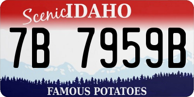 ID license plate 7B7959B