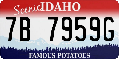 ID license plate 7B7959G
