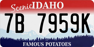 ID license plate 7B7959K