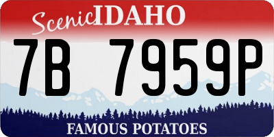 ID license plate 7B7959P