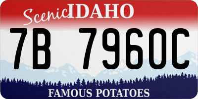 ID license plate 7B7960C