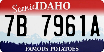 ID license plate 7B7961A