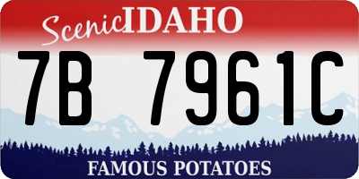 ID license plate 7B7961C