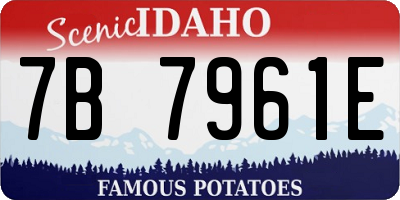 ID license plate 7B7961E