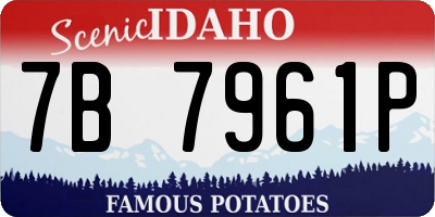 ID license plate 7B7961P