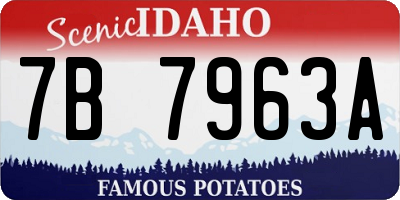 ID license plate 7B7963A
