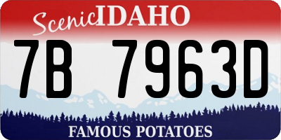 ID license plate 7B7963D