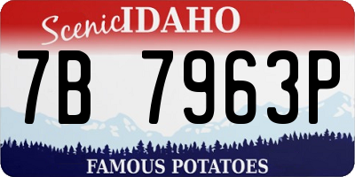 ID license plate 7B7963P