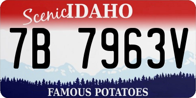 ID license plate 7B7963V