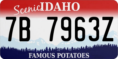 ID license plate 7B7963Z