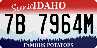 ID license plate 7B7964M