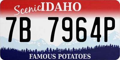 ID license plate 7B7964P