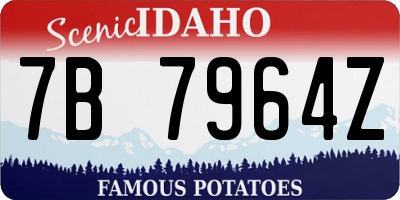 ID license plate 7B7964Z
