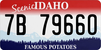 ID license plate 7B7966O