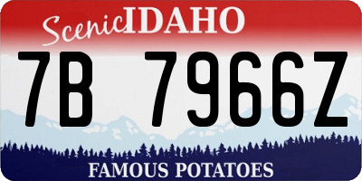 ID license plate 7B7966Z