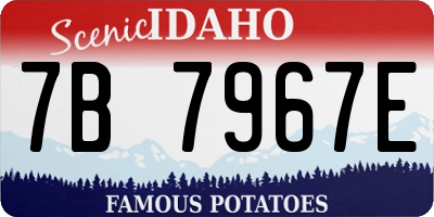 ID license plate 7B7967E