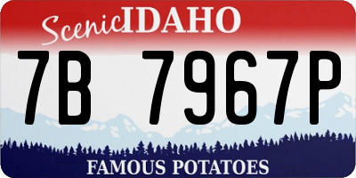 ID license plate 7B7967P