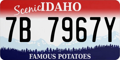 ID license plate 7B7967Y