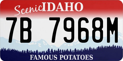 ID license plate 7B7968M