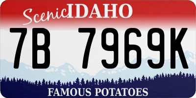 ID license plate 7B7969K