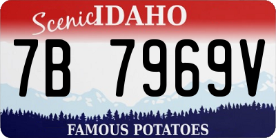 ID license plate 7B7969V