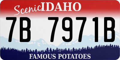 ID license plate 7B7971B