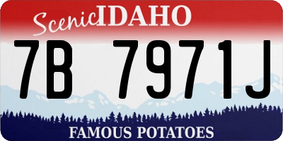 ID license plate 7B7971J
