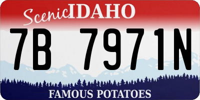 ID license plate 7B7971N