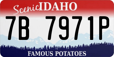 ID license plate 7B7971P
