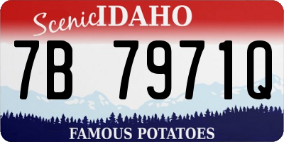 ID license plate 7B7971Q