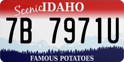 ID license plate 7B7971U