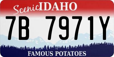 ID license plate 7B7971Y