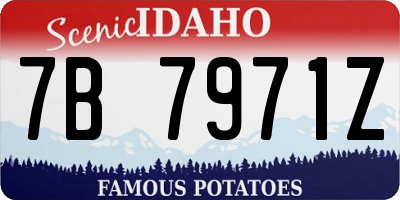 ID license plate 7B7971Z