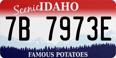 ID license plate 7B7973E