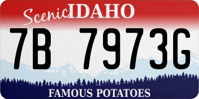 ID license plate 7B7973G