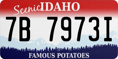 ID license plate 7B7973I